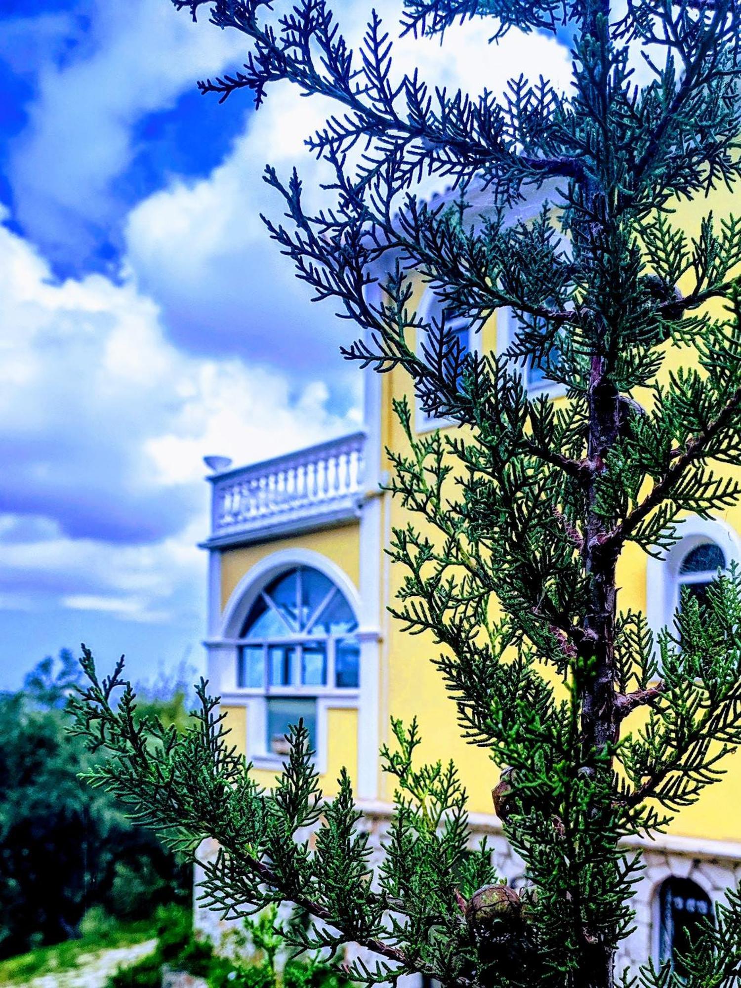 Vila Kalielaia Mouzákion Dış mekan fotoğraf